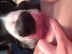 Her bawdy cleft is open for a dog.